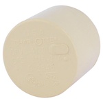 Charlotte Pipe CTS021160800 FlowGuard 3/4 in. Hub CPVC Cap