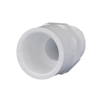 Charlotte Pipe PVC 02109 0600 Schedule 40 1/2 in. Slip x 1/2 in. Dia. MPT PVC Adapter
